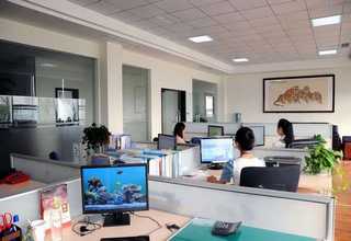 九江网站建设合肥 网站建设